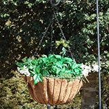 Austram-グリフィスクリークで31507 16を設計します。ハイドパークはプランターブラックハンギング