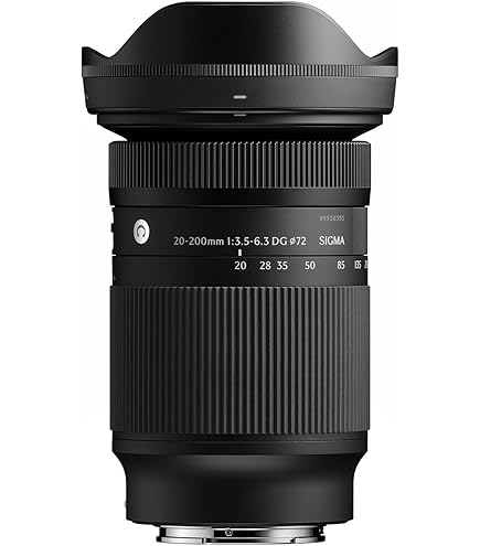 Amazon.co.jp: シグマ 28-300mm F3.5-6.3 DG MACRO ソニー用 : 家電