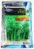 空心菜 エンサイ ヨウサイ 種子 タイの野菜 パックブン 約20g CHIA THAI【並行輸入品】