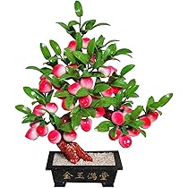 61gR9UakdTL._AC_UL210_SR210,