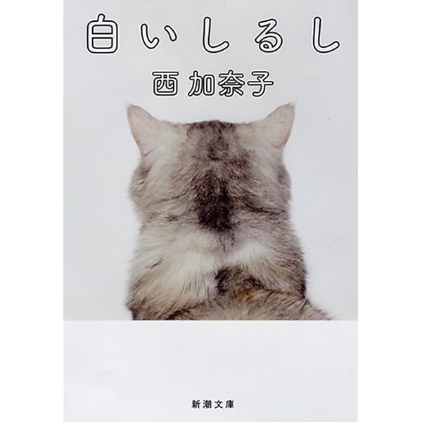 Amazon.co.jp: お縫い子テルミー (集英社文庫) 電子書籍: 栗田有起