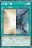 遊戯王 23PP-JP005 表裏一体 (日本語版 ノーマルパラレル) PREMIUM PACK 2023 プレミアムパック