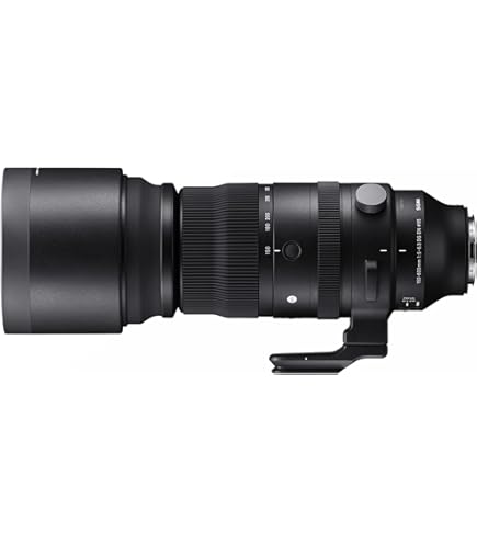 100-400mm F-5.6.3 DG DN OS L-Mount : Amazon.com.au: Computers