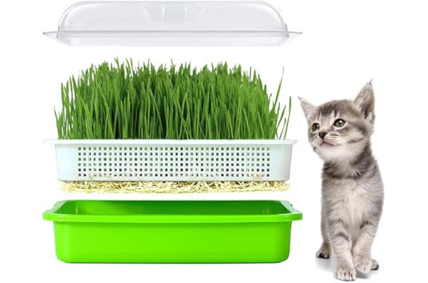 Amazon Co Jp 新着ランキング 猫用おやつ の新着ランキングです