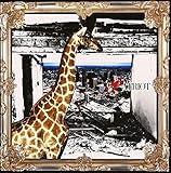 PATRIOT(DVD�t��)