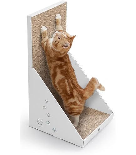 Amazon.co.jp: LPOTIUS ペットカート 多頭 上下2段式 分離型 ペット