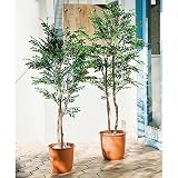 高さ160cm（人工観葉植物シマトネリコ） G32413