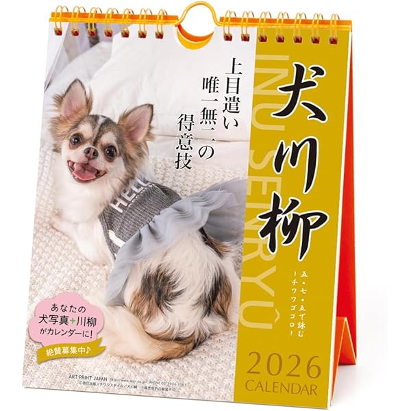 チワワスタイル vol.34 (タツミムック) | 辰巳出版 |本 | 通販