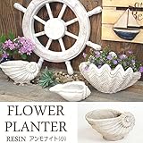 プランター 植木鉢 貝型鉢 アンモナイト フラワーベース小 （底穴あり） レジン 貝モチーフ 鉢 オーナメント