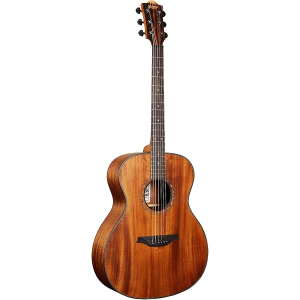 Amazon.co.jp: Bromo Guitars ブロモギターズ BAR5CE エレクトリック