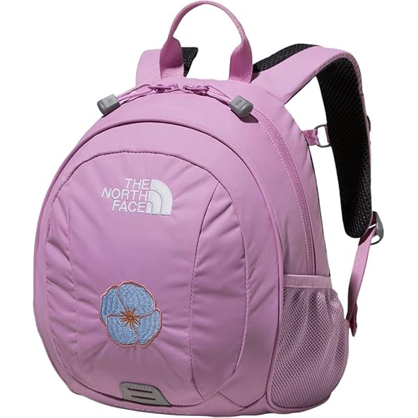 Amazon.co.jp: The North Face NMJ72361 Backpack K Homeslice