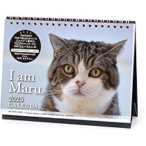 TTD 48 【⭐︎ お猫様の下僕様⭐︎】【美品・数量限定】 楽天市場】等身大抱き枕 130cm 70cm 抱き枕 猫模様 抱き枕