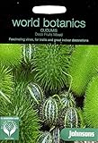 WB 英国ジョンソンズシード Johnsons Seeds world botanics collection Cucumis Deco Fruits Mixed ククミス・デコ・フルーツ・ミックス