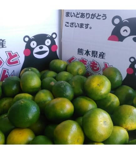Amazon.co.jp: 【糖度15度】 愛媛県産 甘平 みかん 約10kg サイズ混合