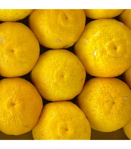 Amazon.co.jp: 【選果落ち 訳あり商品】熊本県産 大分県産 ゆず 柚子