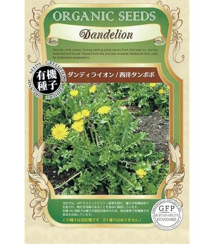 Amazon | charm(チャーム) たんぽぽの種（1袋）ハーブ 栽培 家庭菜園