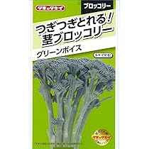 Amazon | サカタのタネ 実咲野菜2507 茎ブロッコリー 紫セニョーラ | 花