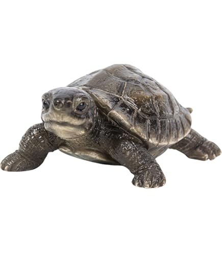 Amazon.co.jp: ウービア ヘルマンリクガメ 17×11.7×7.7㎝ 人形