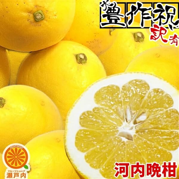 『パール柑＆河内晩柑』 箱込み19.9kg サイズ MIX Amazon.co.jp: 愛媛産 特に訳あり河内晩柑10kg(+約0.5kg多め