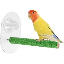 オウム＆インコ(大型用)止まり木‼コメント専用‼ Amazon | インコ用止まり木 - T型天然木鳥プラットフォーム, 鳥