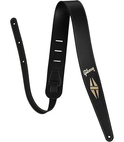 Amazon | ギブソン GIBSON ASGG-600 2