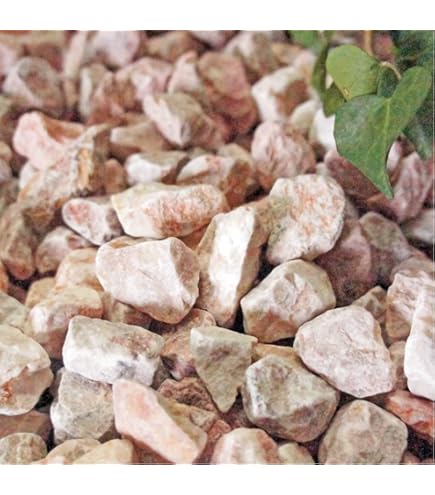 Amazon.co.jp: 石臼2石セット庭石鑑賞石石盆石水石灯籠庭坪庭盆栽