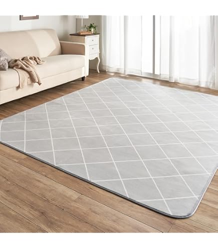 Amazon | TEKNOS 2畳用カーペット本体 TWA-2002B | TEKNOS | ホット