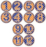 ORANGE BLUE POLKA DOTS Baby Month Onesie Stickers Baby Shower Gift Photo Shower Stickers, baby showe