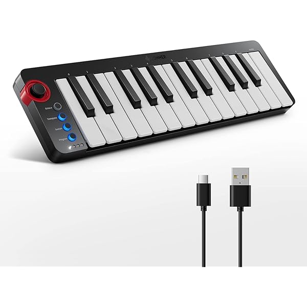 Amazon.co.jp: KORG(コルグ) microKEY Air-25 /microKEY-25 MIDI