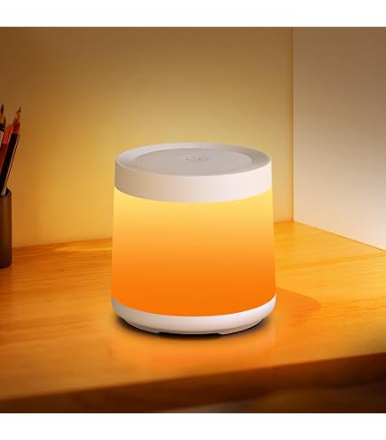 Amazon.co.jp: 別注 38灯 38explore アシモクラフツ コラボMIYABI_A