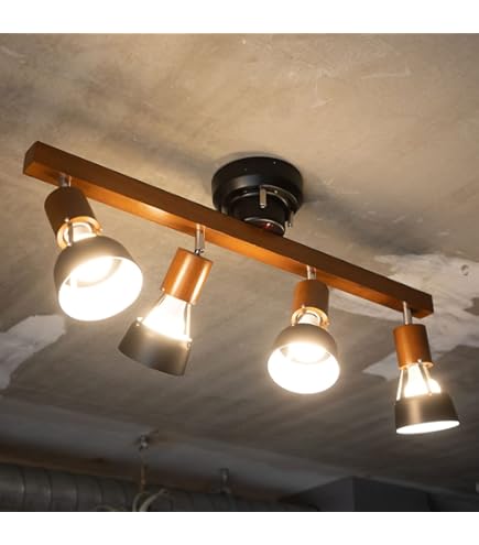 Amazon | 東京メタル シーリングライト4灯E26使用可(電球別売) HC  