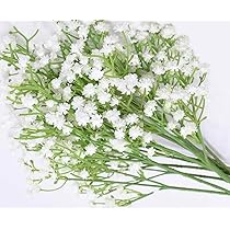 かすみそう 61gpwZR9hSL._AC_UL210_SR210,