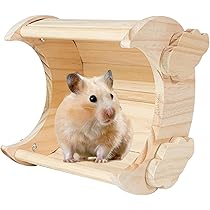 チンチラハウス  月 moon 小動物用 可愛い チンチラハウス 月 moon 小動物用 可愛い - メルカリ