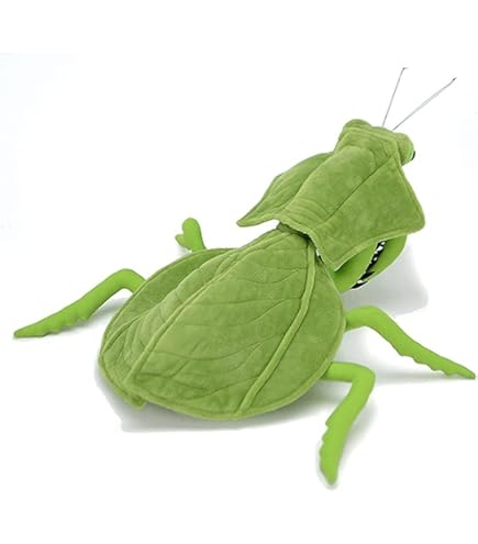Amazon.co.jp: lilizzhoumax 葉っぱのカマキリのぬいぐるみ