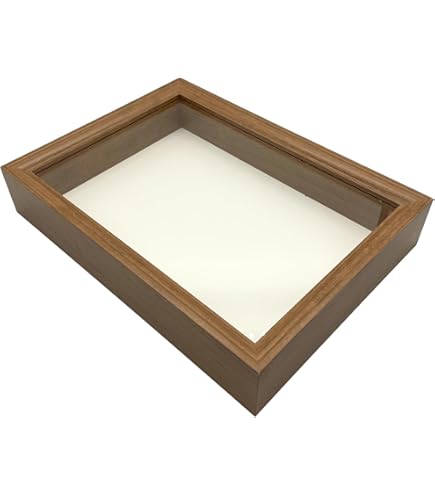 Amazon.co.jp: insectech 桐製標本箱：小型（ガラス蓋） : おもちゃ