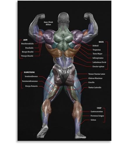 Amazon.co.jp: Jay Cutlerジェイ・カトラー ポスター Poster 筋肉男