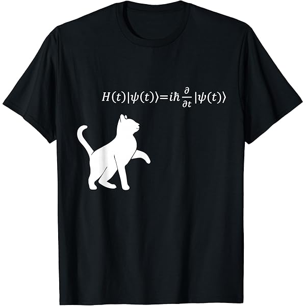 Amazon | マクスウェルの方程式 | オタク科学物理学 Tシャツ | Tシャツ