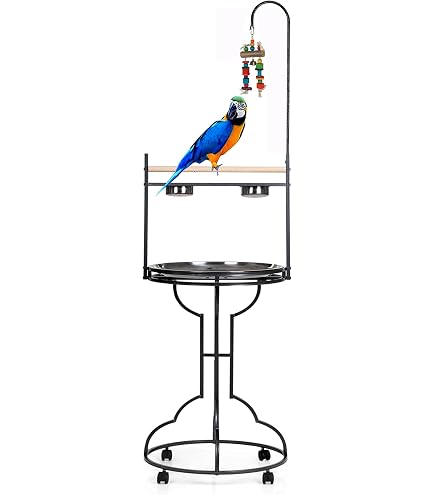 Kaytee EZ Care T Stand Medium : Amazon.com.au: Pet Supplies
