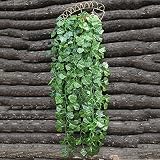 haibei 人工 ぶどう 藤 観葉植物 葉 インテリア