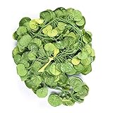 SUND　人工観葉植物　吊り下げ　 カイドウ　壁掛け　造花　インテリア　アンティーク 雑貨　壁/柱/天井/屋根　飾り　結婚式　誕生日　発表会　入学式　卒業式　適用　12本セット