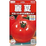 サカタのタネ 実咲野菜0005 麗夏 トマト 00920005