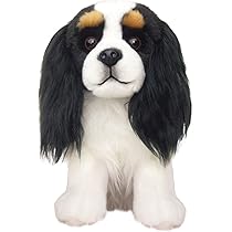 ご確認用キャバリアトライカラーぬいぐるみ 楽天市場】簡易ラッピングでお届け【Faithful Friends