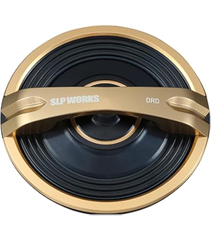 Amazon | 【ダイワ純正/SLP WORKS】SLPW 25SALTIGA DRD