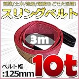 スリングベルト 幅125mm 使用荷重10t 10000kg ベルトスリング 繊維ベルト 吊りベルト クレーンベルト 帯ベルト 吊り上げ 作業用 屋外 建設機械 船舶 運搬作業 ポリエステル素材 土木