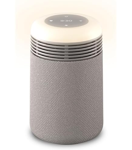 Amazon.co.jp: dyson Dyson HushJet shizuka SP01 WS [ホワイト