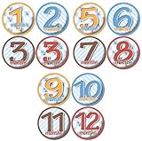 12 Month Stickers BOY CHECKERED STRIPED BEES Onesie Stickers Baby Shower Gift Photo Shower Stickers,