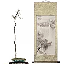 Amazon.co.jp: 肉筆 水墨山水画 楓橋夜泊 掛け軸 掛軸 立軸 彩色