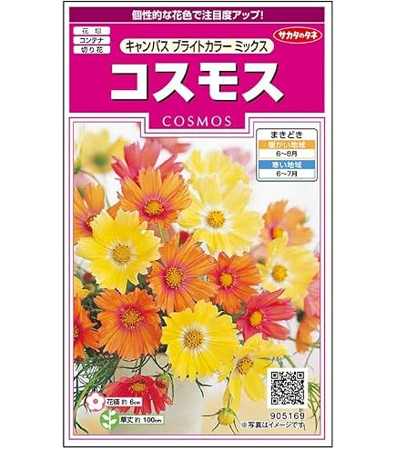 Amazon.co.jp: 種 花たね コスモス 一重咲コスモス混合 1袋（1500mg