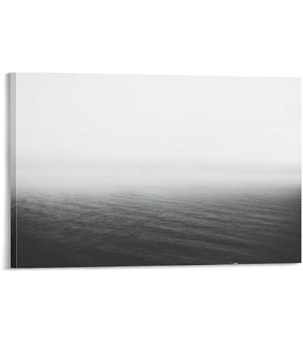 Amazon.co.jp: 杉本博司 ポスター「POLAR BEAR」(ポーラー ベア