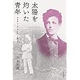 太陽を灼いた青年 アルチュール・ランボーと旅して